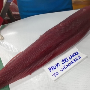 Tonijn Sashimi AAA loin vers